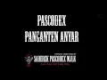 Download Lagu pascodex - panganten anyar