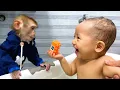 Download Lagu Watch All the Cute And Obedient Videos of Monkey Kaka and baby Diem