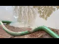 PUMPING DOWN THE POND 3 HARBOR FREIGHT TRASH PUMP