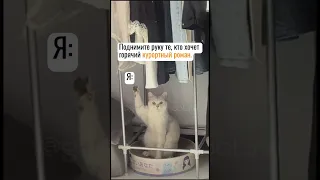 Курортный роман 