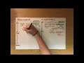 Eukaryotic and Prokaryotic Differences in Transcription and Translation