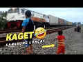 Lagu PUUOOONGSS ⁉️ ANAK KECIL KAGET DENGER KLAKSON KERETA API 🤣