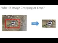 Crop Images in Python using OpenCV and PyCharm