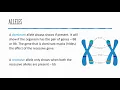 Genetic Variation - Lesson 10