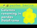 Renaming columns in pandas DataFrame