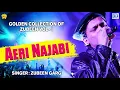 Download Lagu Aeri Najabi - Dj Remix Song | Assamese Top Hit Song | Zubeen Garg | Love Song | RDC Assamese