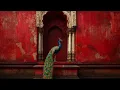 Download Lagu Peaceful Indian Sitar Music Compilation | Relaxing Instrumental for Stress Relief \u0026 Meditation