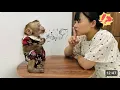 monkey Diana frustrated used language to scold mother