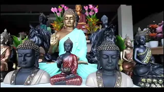 Royaloak khammam