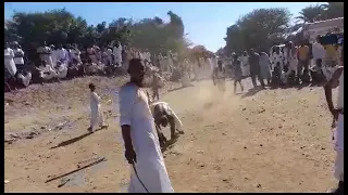 الفنان عبدالرحيم الدامر  متابعه عشان يصلك كل الجديد والحصري   دندنها