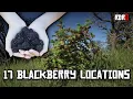 17 Rdr2 Online Blackberry Location SWEETEST BERRIES