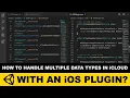Unity3d iOS Plugins - How To Handle Multiple Data Types In iCloud With iOS Plugin