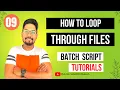 Batch File to Loop Through Files