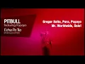 Pitbull ft. Papayo - Echa Pa'lla (Manos Pa' Arriba) LYRICS