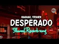 Desperado (slowed + reverb) raghav | tesher | #new #raghav