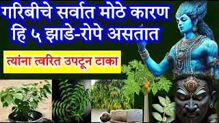 ही ५ झाडे-रोपे घरात असता कामा नयेत धन खर्च होते🚫Vastu Plant Tips