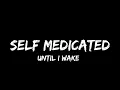 Until I Wake - Self Medicated Lyrics