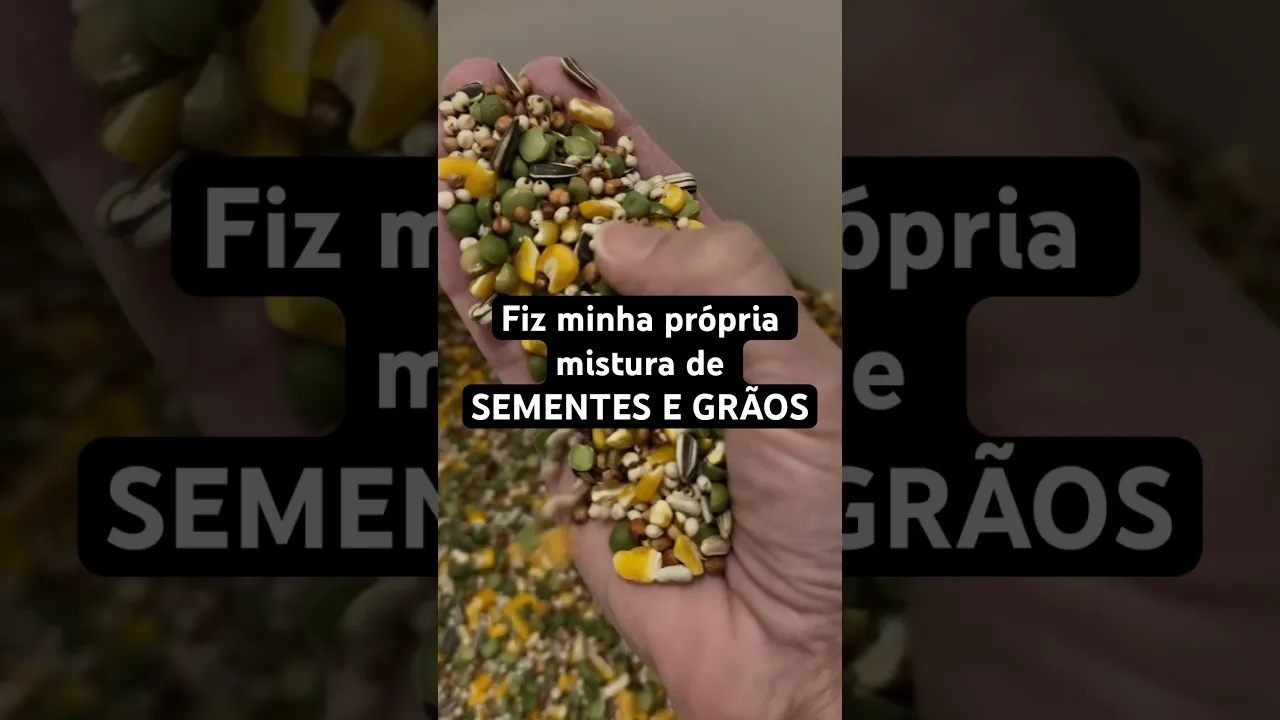Alimentação para pombos.