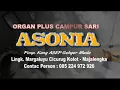 Download Lagu ASONIA Bangbung Hideung versi Asonia MP3
