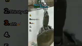 Ranking Funny Turtle Moments