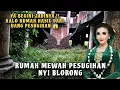 Download Lagu RUMAH MEWAH PESUGIHAN NYI BLORONG KOSONG 10 TAHUN
