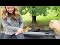 Download Lagu Havermoutroomtaarten na het ontbijt met de R-squad #rufusthebull #redford #koe #fyp #boerderij #s...