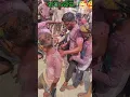 Download Lagu mun tate bulei nebi | Happy holi.. 🥰🥰