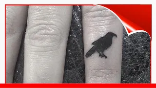 Crow Tattoo Ideas The Best 100 Crow Tattoos On Planet Earth