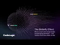 CodeLogic The Butterfly Effect