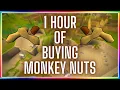OSRS - Buying Monkey Nuts Testing OSRS Wiki Money Making Methods 2021