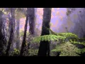 Download Lagu Sounds Forest Rain at Night, Crickets Owls Rain Wind, Naturals Sounds  Sounds Sleeping, Relaxing