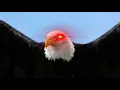 Lagu Eagle earrape