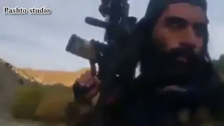 afghanistan taliban pashto amazing nazam molanabijligar8524