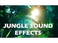 Download Lagu Jungle and Rainforest Sound Effects - Tropical Forest Ambiences from Costa Rica