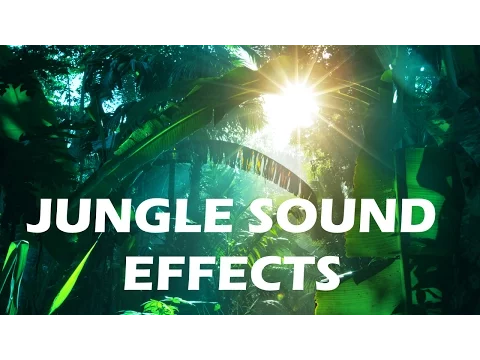 Download MP3 Jungle and Rainforest Sound Effects - Tropical Forest Ambiences from Costa Rica