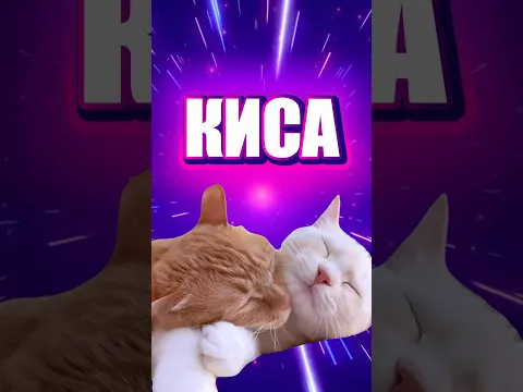 КИСА ШОКОЛАДКА 🐈🤍