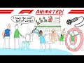 Lagu The 2025 F1 Season Animated!