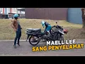 MAELL LEE SANG PENYELAMAT
