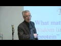 Dr H Eugene Stanley - Ford Motor Company Distinguished Lecture in Physics