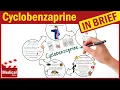 Cyclobenzaprine 10mg Flexeril What is Cyclobenzaprine Flexeril Uses Dosage Side Effects