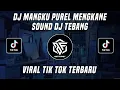 Download Lagu DJ MANGKU PUREL DJ TEBANG VIRAL TIK TOK TERBARU 2022