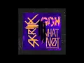 What So Not & Skrillex - Goh! Ft. KLP (Demo) [320kpbs/20Khz]