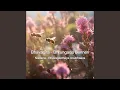 Download Lagu Bhāvagīta - Bhrungada Benneri