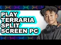 How to Play Terraria Split Screen on PC 2025 - Full Guide