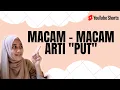 Download Lagu MACAM-MACAM ARTI PUT ❗