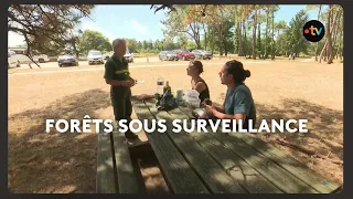 L ONF Patrouille Pour Prévenir Les Incendies 