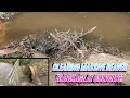 Download Lagu UNCLOGGING BEAVER CLOGGED CULVERTS! 06/2025