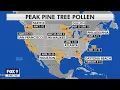 Allergy season has arrived I KMSP FOX 9