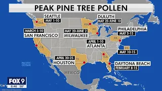 Allergy season has arrived I KMSP FOX 9