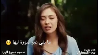 بعدو صوتا جوا قلبي حالات واتس اب جديدة 